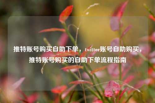 推特账号购买自助下单，twitter账号自助购买，推特账号购买的自助下单流程指南