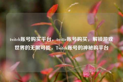 twitch账号购买平台，twitte账号购买，解锁游戏世界的无限可能，Twitch账号的神秘购平台