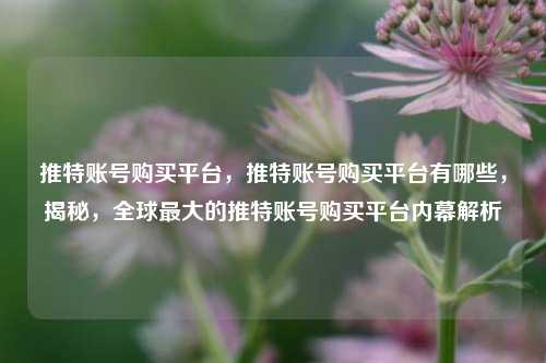 推特账号购买平台，推特账号购买平台有哪些，揭秘，全球最大的推特账号购买平台内幕解析