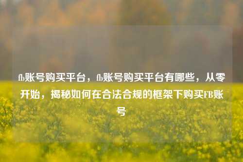 fb账号购买平台，fb账号购买平台有哪些，从零开始，揭秘如何在合法合规的框架下购买FB账号
