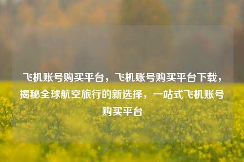 飞机账号购买平台，飞机账号购买平台下载，揭秘全球航空旅行的新选择，一站式飞机账号购买平台