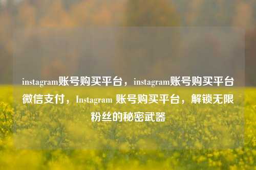 instagram账号购买平台，instagram账号购买平台微信支付，Instagram 账号购买平台，解锁无限粉丝的秘密武器