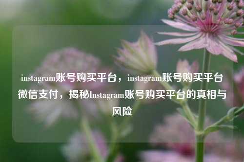 instagram账号购买平台，instagram账号购买平台微信支付	，揭秘Instagram账号购买平台的真相与风险  第1张