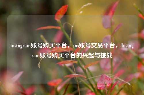 instagram账号购买平台，ins账号交易平台	，Instagram账号购买平台的兴起与挑战  第1张