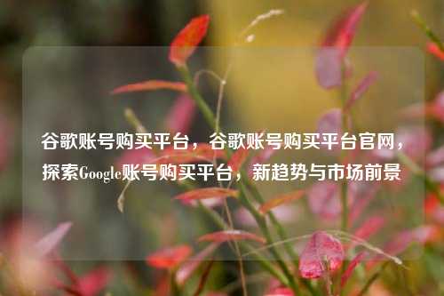 谷歌账号购买平台，谷歌账号购买平台官网，探索Google账号购买平台，新趋势与市场前景