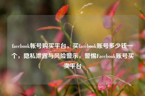 facebook帐号购买平台，买facebook账号多少钱一个，隐私泄露与风险警示，警惕Facebook账号买卖平台