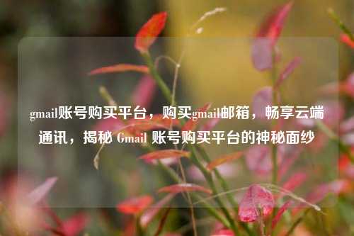 gmail账号购买平台，购买gmail邮箱，畅享云端通讯，揭秘 Gmail 账号购买平台的神秘面纱