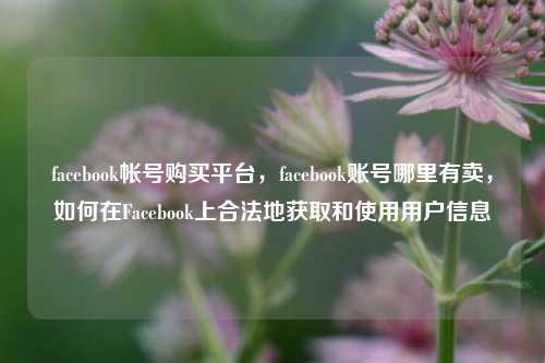 facebook帐号购买平台，facebook账号哪里有卖，如何在Facebook上合法地获取和使用用户信息
