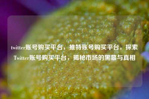twitter账号购买平台，推特账号购买平台，探索Twitter账号购买平台，揭秘市场的黑幕与真相