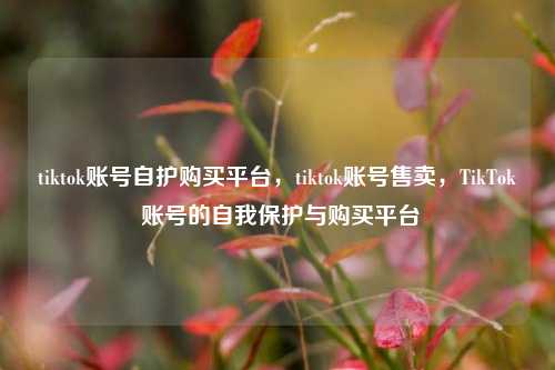 tiktok账号自护购买平台，tiktok账号售卖，TikTok 账号的自我保护与购买平台