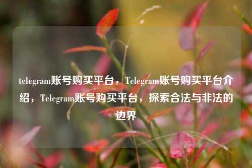 telegram账号购买平台，Telegram账号购买平台介绍，Telegram账号购买平台，探索合法与非法的边界