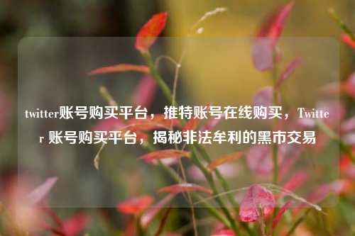 twitter账号购买平台，推特账号在线购买，Twitter 账号购买平台，揭秘非法牟利的黑市交易