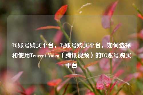 TG账号购买平台，Tg账号购买平台，如何选择和使用Tencent Video（腾讯视频）的TG账号购买平台