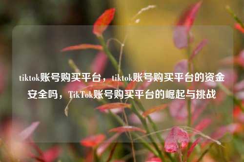 tiktok账号购买平台，tiktok账号购买平台的资金安全吗，TikTok账号购买平台的崛起与挑战  第1张