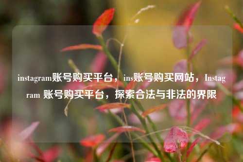 instagram账号购买平台，ins账号购买网站，Instagram 账号购买平台，探索合法与非法的界限