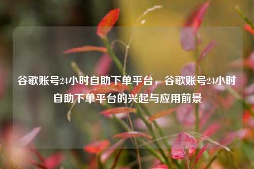 谷歌账号24小时自助下单平台，谷歌账号24小时自助下单平台的兴起与应用前景