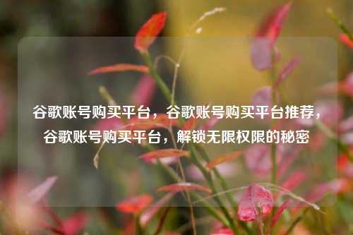 谷歌账号购买平台	，谷歌账号购买平台推荐，谷歌账号购买平台，解锁无限权限的秘密  第1张
