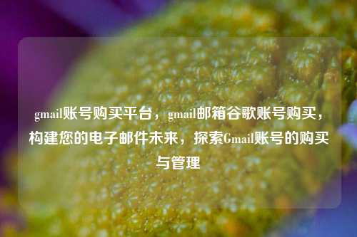 gmail账号购买平台，gmail邮箱谷歌账号购买，构建您的电子邮件未来，探索Gmail账号的购买与管理