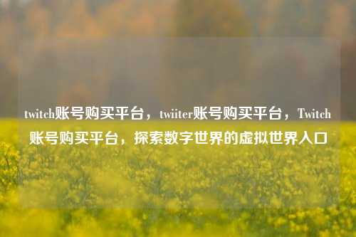 twitch账号购买平台，twiiter账号购买平台，Twitch账号购买平台，探索数字世界的虚拟世界入口