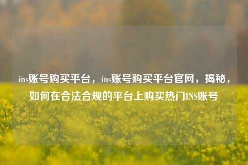 ins账号购买平台，ins账号购买平台官网，揭秘，如何在合法合规的平台上购买热门INS账号