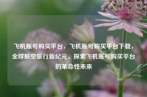 飞机账号购买平台，飞机账号购买平台下载，全球航空旅行新纪元，探索飞机账号购买平台的革命性未来
