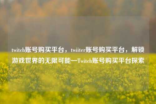 twitch账号购买平台，twiiter账号购买平台，解锁游戏世界的无限可能—Twitch账号购买平台探索