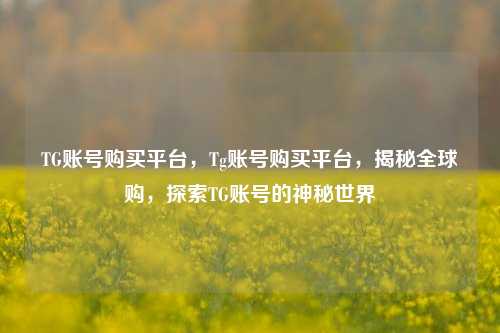 TG账号购买平台，Tg账号购买平台，揭秘全球购，探索TG账号的神秘世界