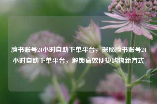脸书账号24小时自助下单平台，探秘脸书账号24小时自助下单平台，解锁高效便捷购物新方式
