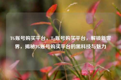 TG账号购买平台	，Tg账号购买平台，解锁新世界，揭秘TG账号购买平台的黑科技与魅力  第1张
