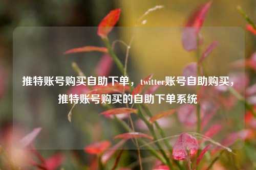 推特账号购买自助下单，twitter账号自助购买，推特账号购买的自助下单系统  第1张