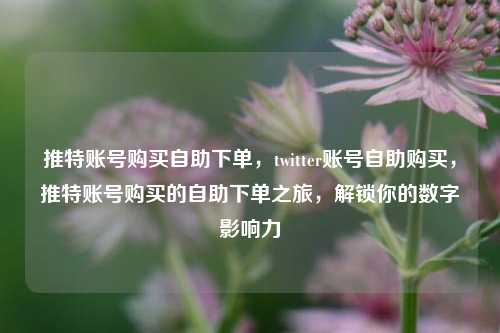 推特账号购买自助下单，twitter账号自助购买	，推特账号购买的自助下单之旅，解锁你的数字影响力  第1张