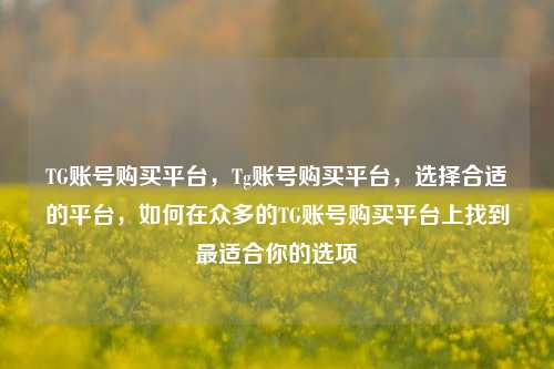 TG账号购买平台，Tg账号购买平台，选择合适的平台，如何在众多的TG账号购买平台上找到最适合你的选项