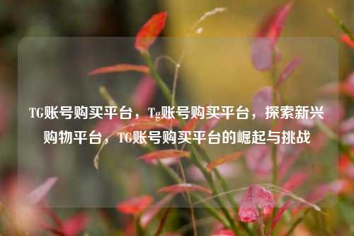 TG账号购买平台	，Tg账号购买平台，探索新兴购物平台，TG账号购买平台的崛起与挑战  第1张