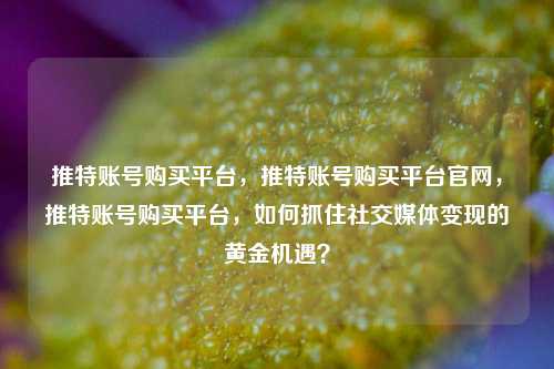 推特账号购买平台，推特账号购买平台官网，推特账号购买平台，如何抓住社交媒体变现的黄金机遇？
