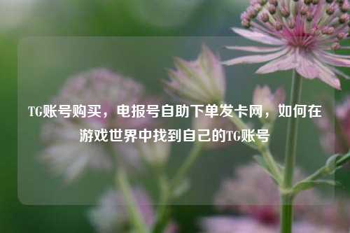 TG账号购买，电报号自助下单发卡网，如何在游戏世界中找到自己的TG账号  第1张