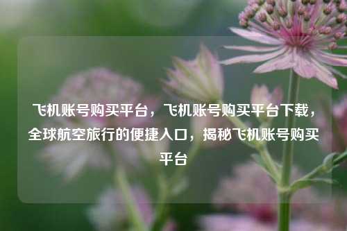 飞机账号购买平台，飞机账号购买平台下载，全球航空旅行的便捷入口	，揭秘飞机账号购买平台  第1张
