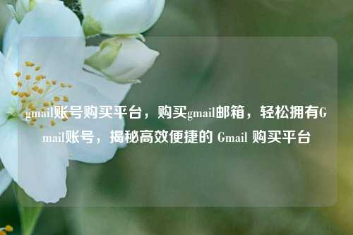 gmail账号购买平台，购买gmail邮箱，轻松拥有Gmail账号，揭秘高效便捷的 Gmail 购买平台