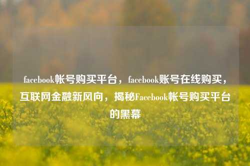 facebook帐号购买平台，facebook账号在线购买，互联网金融新风向，揭秘Facebook帐号购买平台的黑幕