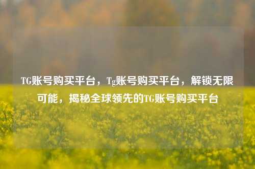 TG账号购买平台，Tg账号购买平台，解锁无限可能，揭秘全球领先的TG账号购买平台