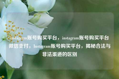 instagram账号购买平台，instagram账号购买平台微信支付，Instagram账号购买平台，揭秘合法与非法渠道的区别