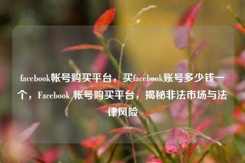 facebook帐号购买平台，买facebook账号多少钱一个，Facebook 帐号购买平台，揭秘非法市场与法律风险
