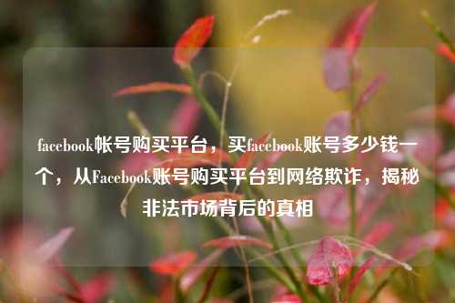 facebook帐号购买平台，买facebook账号多少钱一个，从Facebook账号购买平台到网络欺诈，揭秘非法市场背后的真相
