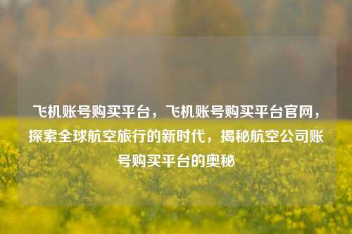 飞机账号购买平台，飞机账号购买平台官网，探索全球航空旅行的新时代，揭秘航空公司账号购买平台的奥秘