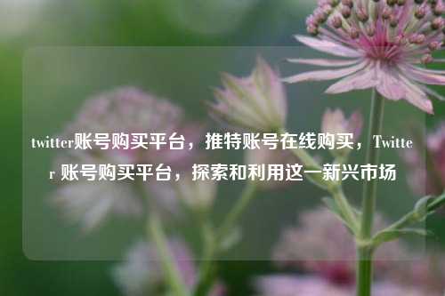 twitter账号购买平台，推特账号在线购买，Twitter 账号购买平台，探索和利用这一新兴市场