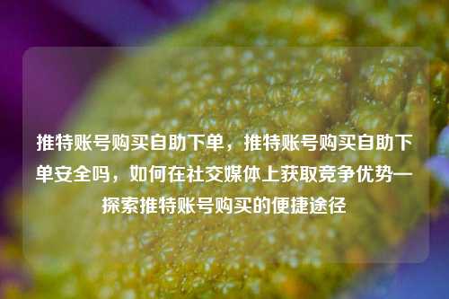 推特账号购买自助下单，推特账号购买自助下单安全吗，如何在社交媒体上获取竞争优势—探索推特账号购买的便捷途径