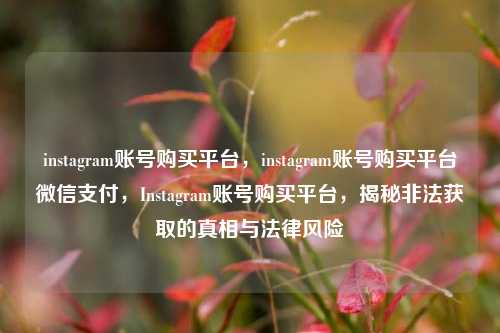instagram账号购买平台，instagram账号购买平台微信支付，Instagram账号购买平台，揭秘非法获取的真相与法律风险