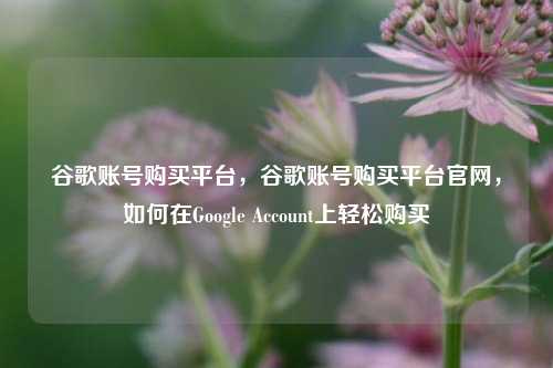 谷歌账号购买平台，谷歌账号购买平台官网，如何在Google Account上轻松购买